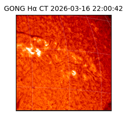 gong - 2026-03-16T22:00:42