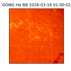 gong - 2026-03-16T01:00:02