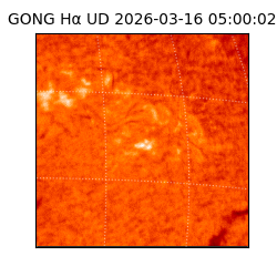 gong - 2026-03-16T05:00:02