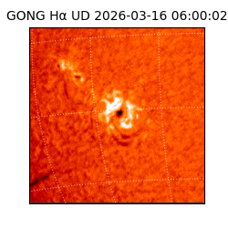 gong - 2026-03-16T06:00:02