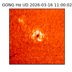 gong - 2026-03-16T11:00:02