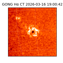 gong - 2026-03-16T19:00:42