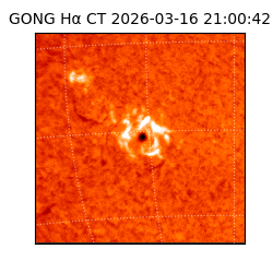 gong - 2026-03-16T21:00:42