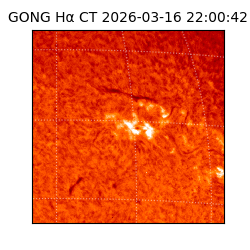 gong - 2026-03-16T22:00:42