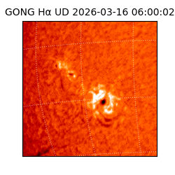 gong - 2026-03-16T06:00:02