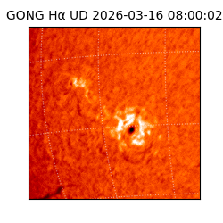 gong - 2026-03-16T08:00:02