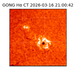 gong - 2026-03-16T21:00:42