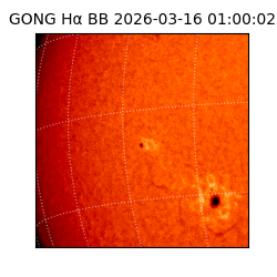 gong - 2026-03-16T01:00:02