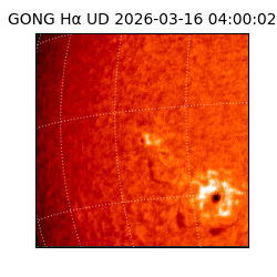 gong - 2026-03-16T04:00:02