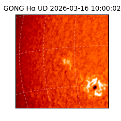 gong - 2026-03-16T10:00:02