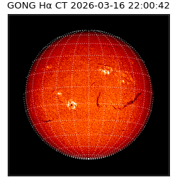 gong - 2026-03-16T22:00:42