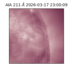 saia - 2026-03-17T23:00:09.623000