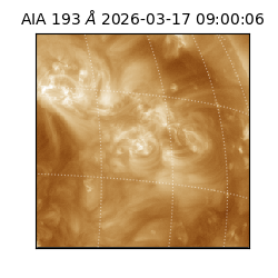 saia - 2026-03-17T09:00:06.646000