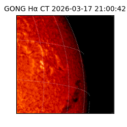 gong - 2026-03-17T21:00:42