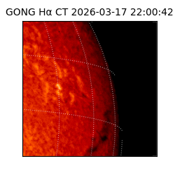 gong - 2026-03-17T22:00:42