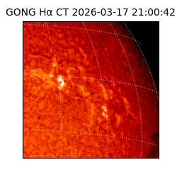 gong - 2026-03-17T21:00:42
