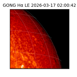 gong - 2026-03-17T02:00:42