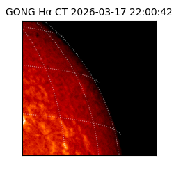 gong - 2026-03-17T22:00:42