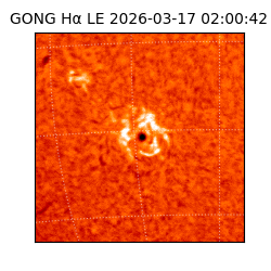 gong - 2026-03-17T02:00:42