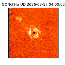 gong - 2026-03-17T04:00:02