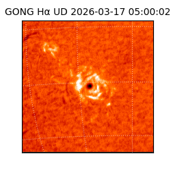 gong - 2026-03-17T05:00:02