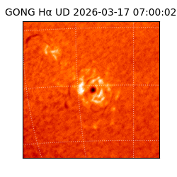 gong - 2026-03-17T07:00:02