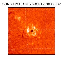 gong - 2026-03-17T08:00:02