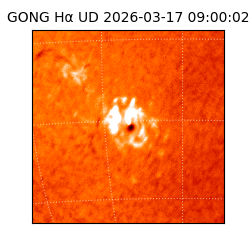 gong - 2026-03-17T09:00:02