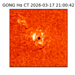 gong - 2026-03-17T21:00:42