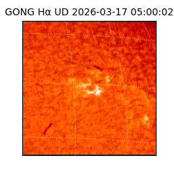 gong - 2026-03-17T05:00:02