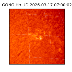 gong - 2026-03-17T07:00:02