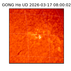 gong - 2026-03-17T08:00:02