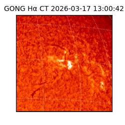 gong - 2026-03-17T13:00:42
