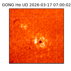 gong - 2026-03-17T07:00:02