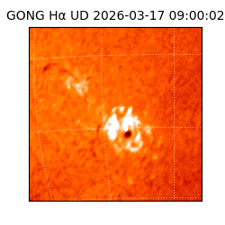 gong - 2026-03-17T09:00:02