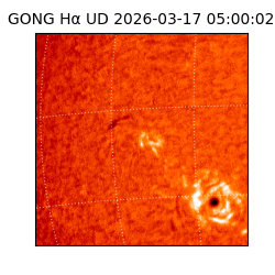 gong - 2026-03-17T05:00:02