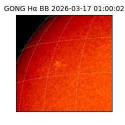 gong - 2026-03-17T01:00:02