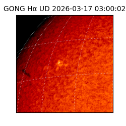 gong - 2026-03-17T03:00:02