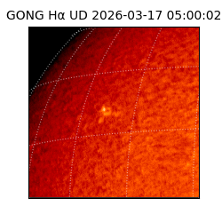 gong - 2026-03-17T05:00:02
