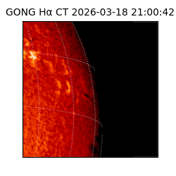 gong - 2026-03-18T21:00:42