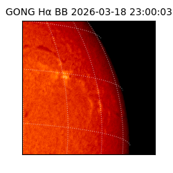 gong - 2026-03-18T23:00:03