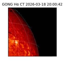 gong - 2026-03-18T20:00:42