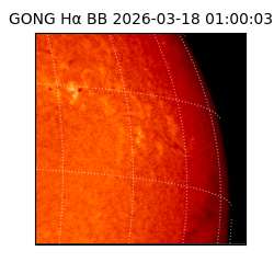 gong - 2026-03-18T01:00:03