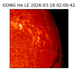 gong - 2026-03-18T02:00:42