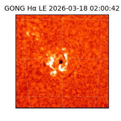 gong - 2026-03-18T02:00:42