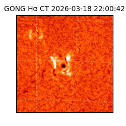 gong - 2026-03-18T22:00:42