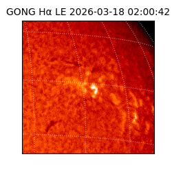 gong - 2026-03-18T02:00:42