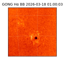 gong - 2026-03-18T01:00:03