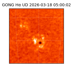 gong - 2026-03-18T05:00:02