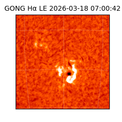 gong - 2026-03-18T07:00:42